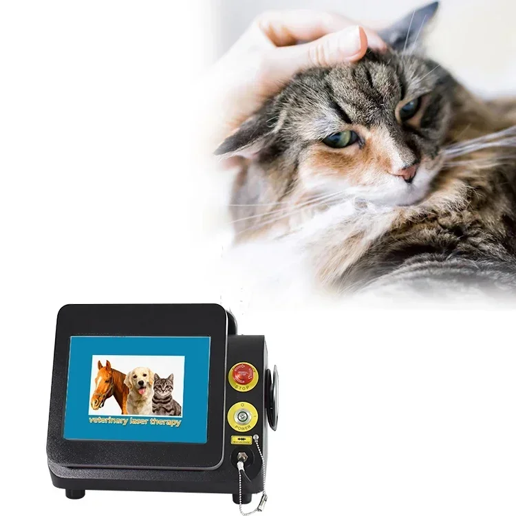 Class IV PBMT  veterinary  therapy equipment 980nm 30w 60w  physiotherapy veterinaire for clinic dogs cats