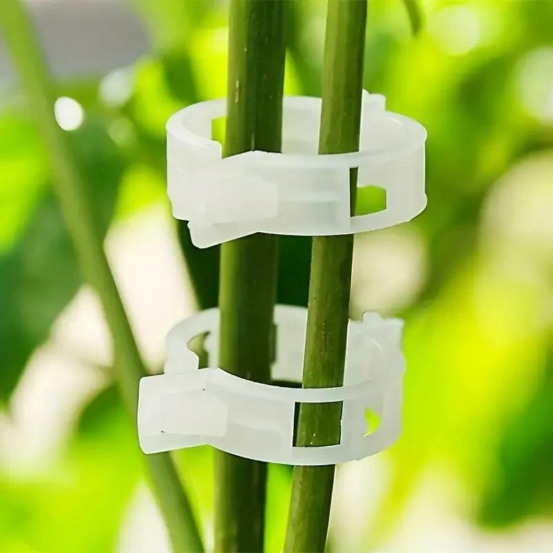 50pcs Plant Support Clips,Garden Support Clips Garden Clips, GrapeVine,Tomato Vine Vegetables Plants Trellis Clips To Grow Upri