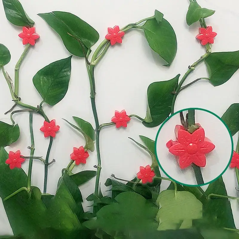 

Plant Clips For Climbing Plants 100X Vine Fixing Clips With 100 Adhesive Strips Flower Shape Plant Vine Traction For Vines Grow