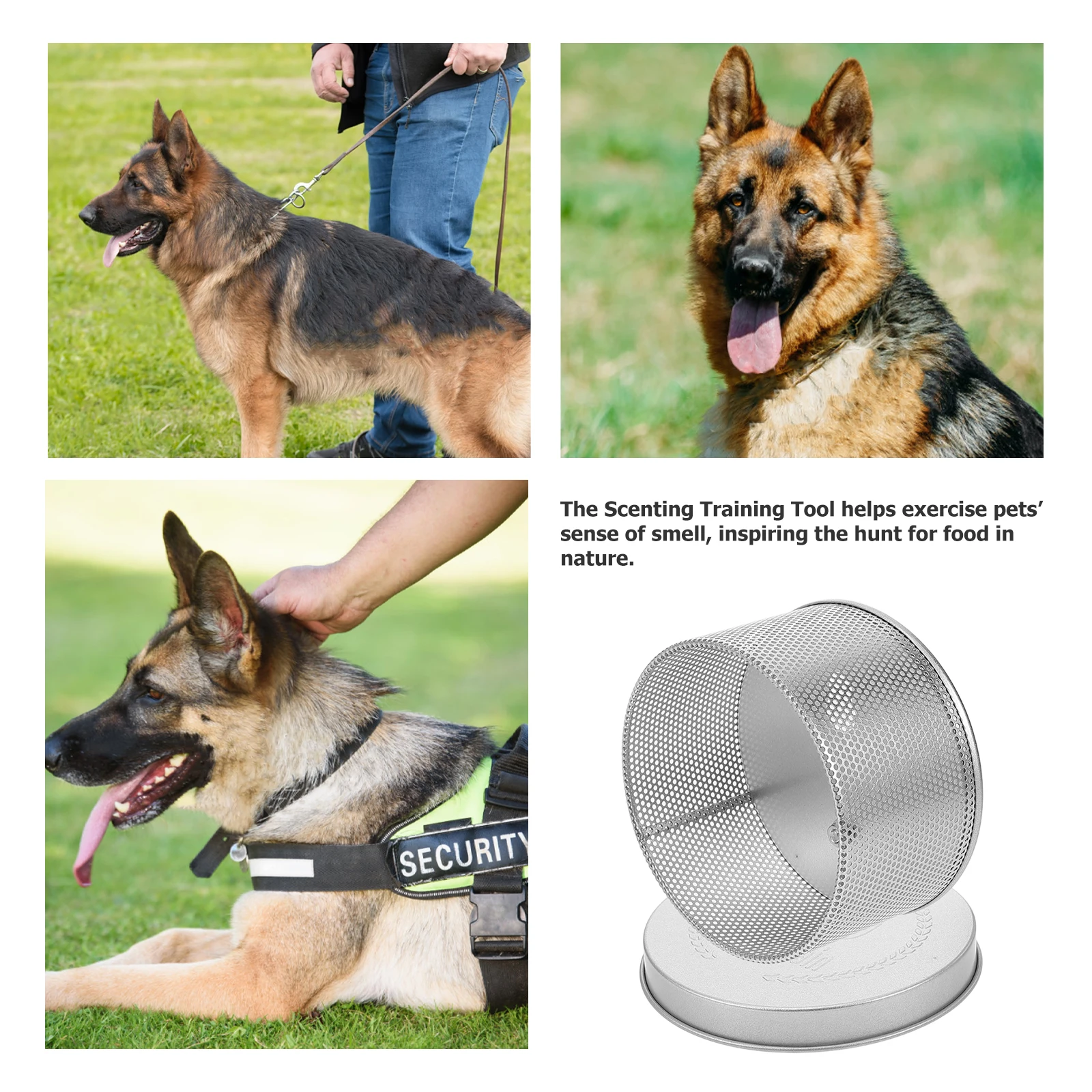 

Stainless Steel Dog Scent Training Box Odor Container Nose Work Tool Pet Agility Equipment Portable Can For Treats Smells Doggy
