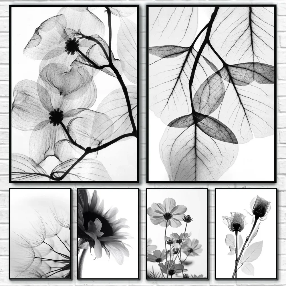 Black and White Plant Flowers, HD Canvas Print Wall Art Poster, Suitable for Home, Living Room, Room, Bar Decoration