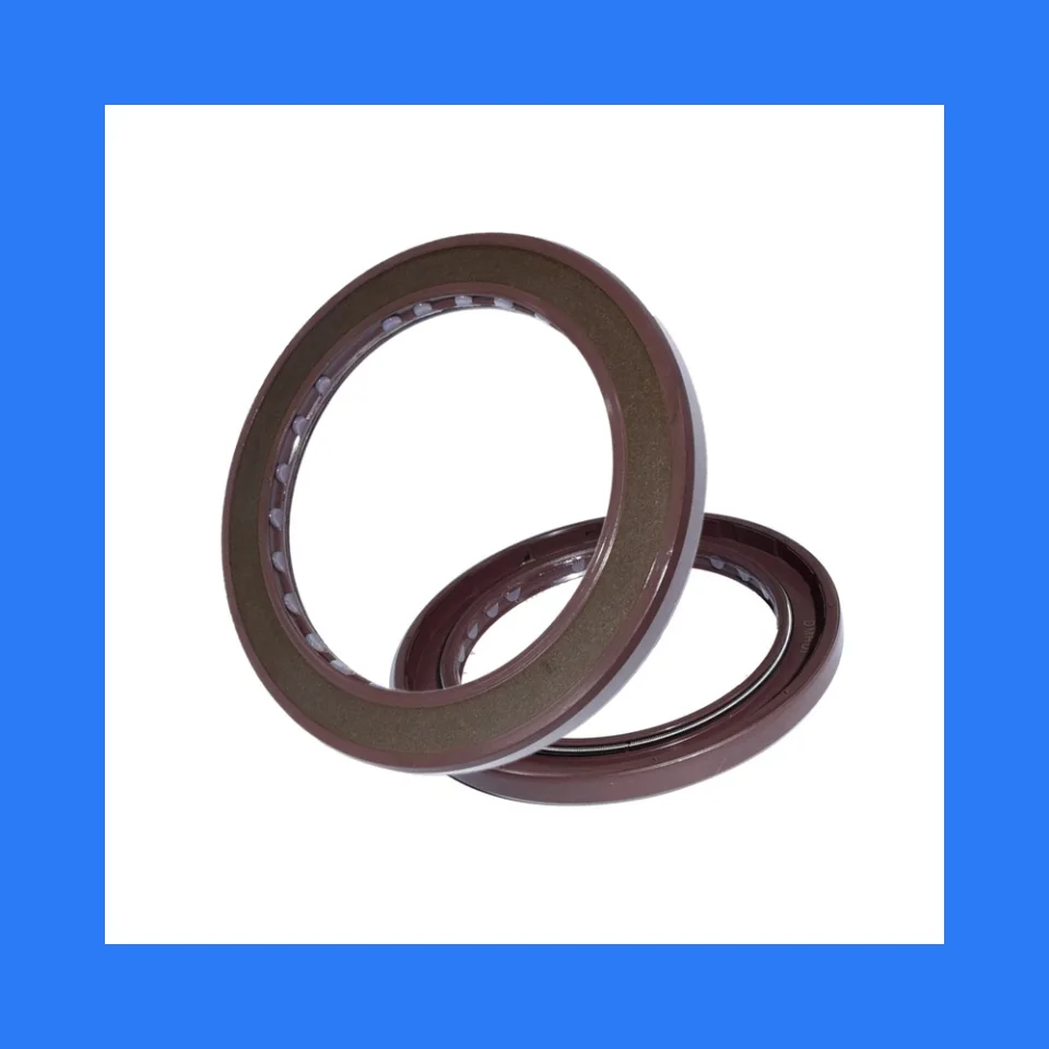 High Quality FKM Pressure Type Oil Seal BAFSL1SF 65*88*7 mm - Double Lip Oil Seal with Spring ﻿