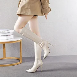 Beige Women's Long Boots Pointed Toe 2025 New Ladies Knee High Shaft Shoes Quality Y2k In Designer Luxury Demi-season Gyaru Rock