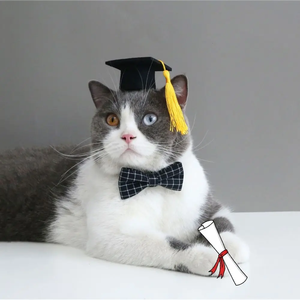 Felt Cat Graduation Cap Pet Accessories Adjustable With Tassel Dog Dr. Hat Elastic Dog Degree Hat Cosplay Party