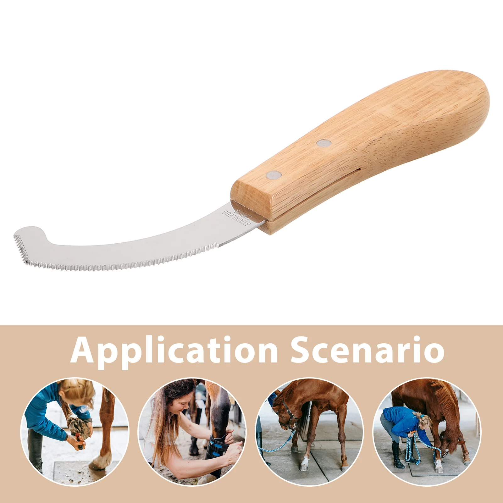 سكين البيض بوت الحصان شفرة فولاذية مقاومة للصدأ مقبض مريح أداة تهذيب دقيقة مكشطة إزالة البيض في الهواء الطلق