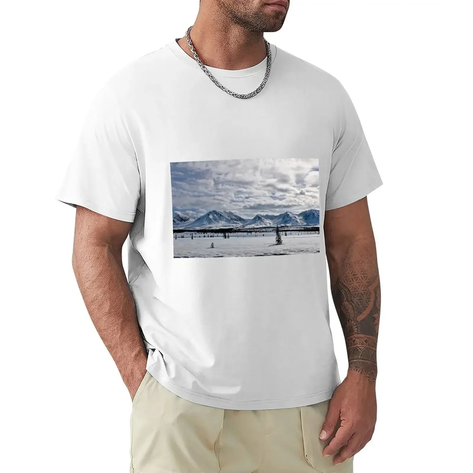 Springtime in Denali T-Shirt