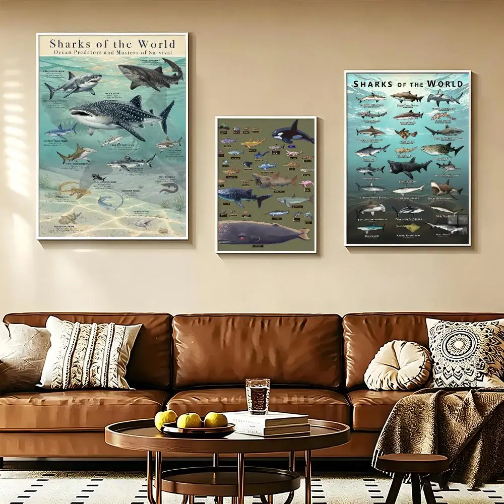 Marine Whale Shark Species Chart Poster Modern Aesthetic Wall Art for Home Bar Cafe Bathroom Decor