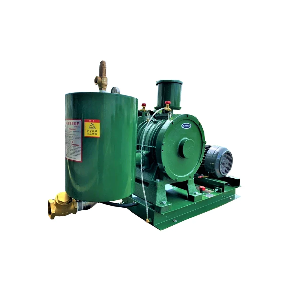 

Great Quality Electric Slient Rotary Vane Type Blower-300 Industrial Blower For Wholesale Export