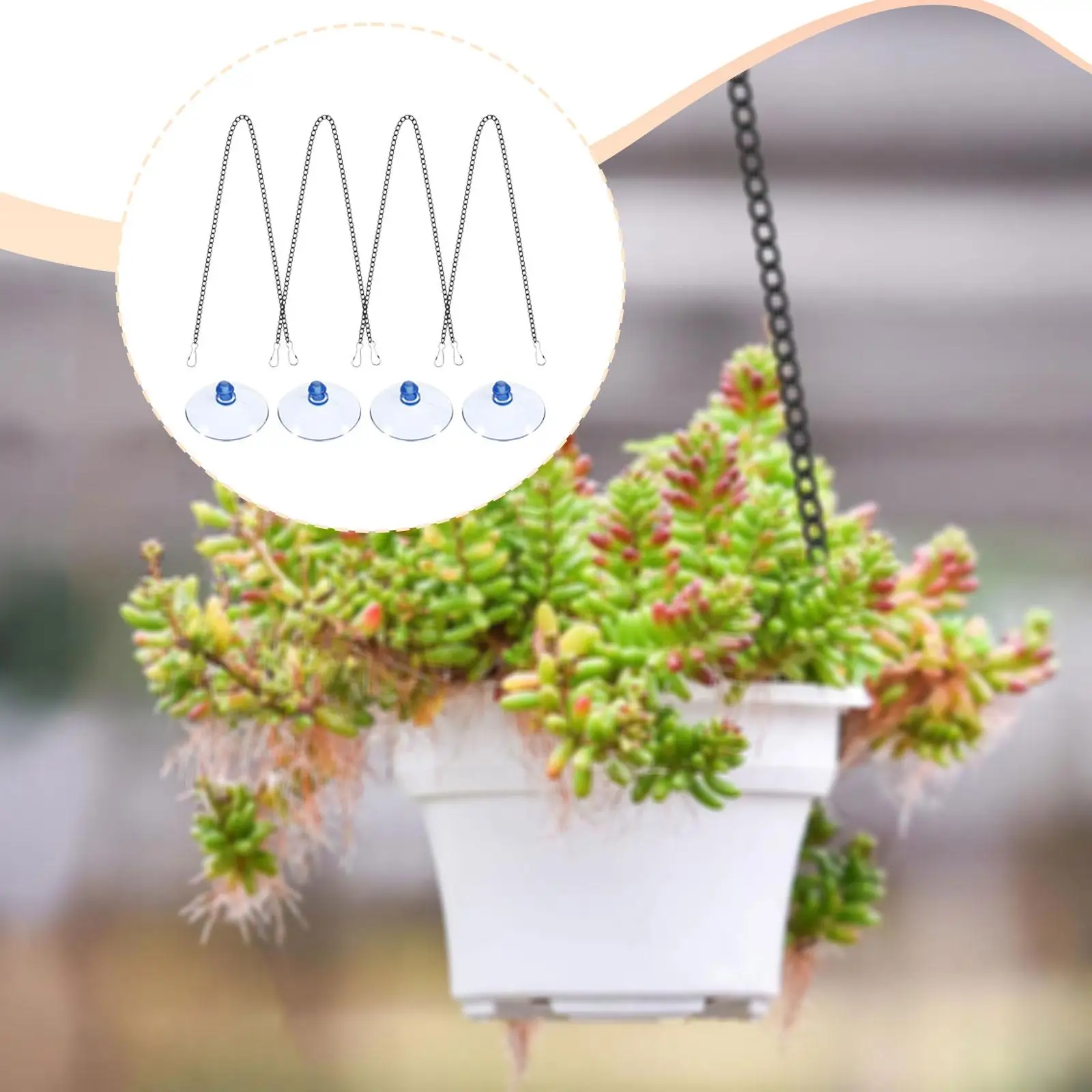 Adjustable Stainless Steel Picture Hanging Chains for Wall Window Decor with Suction Cup Hooks PVC Suncatcher Display