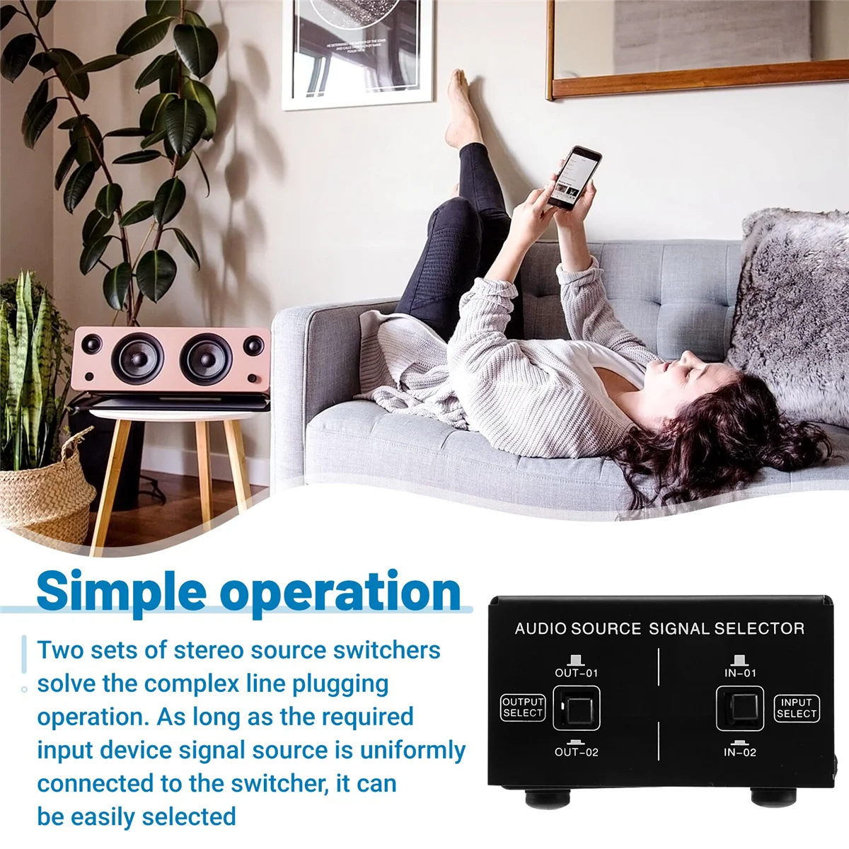 2 in 2 Out Audio Source Signal Selection Switcher Audio Distributor