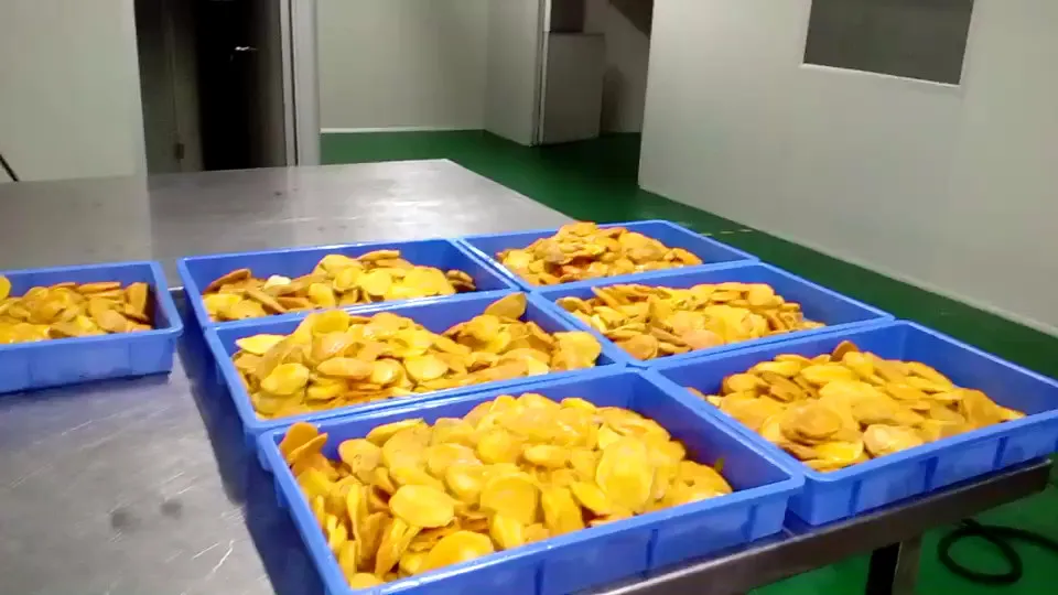 1t/h comercial de alta qualidade 304 aço inoxidável máquina espremedor de manga máquina extrator para venda