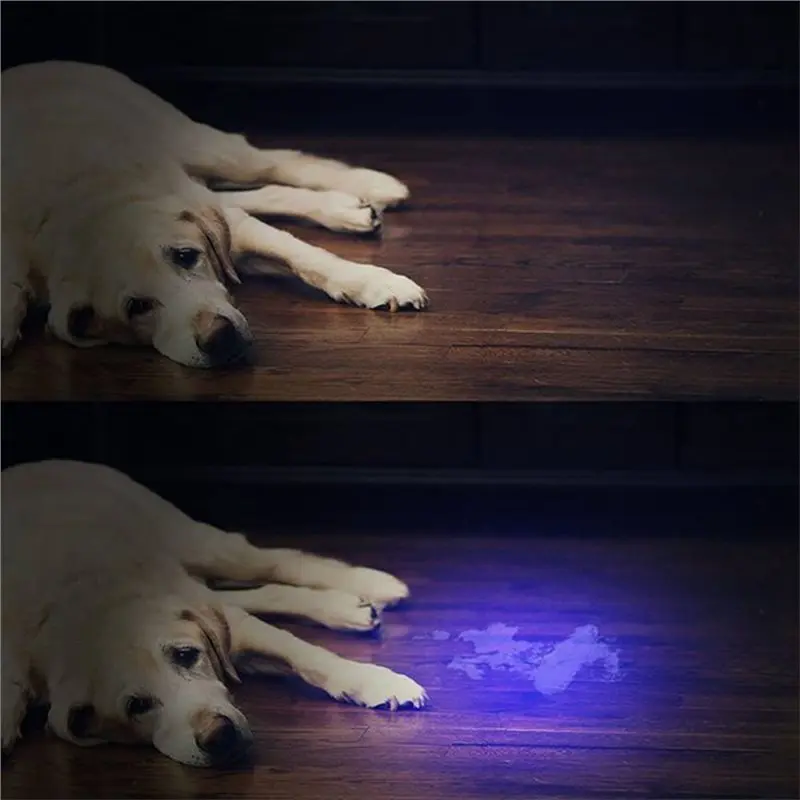 ABUH-UV Light Detector Portable LED 395NM Super Strong Ultra Violet Detection Torch
