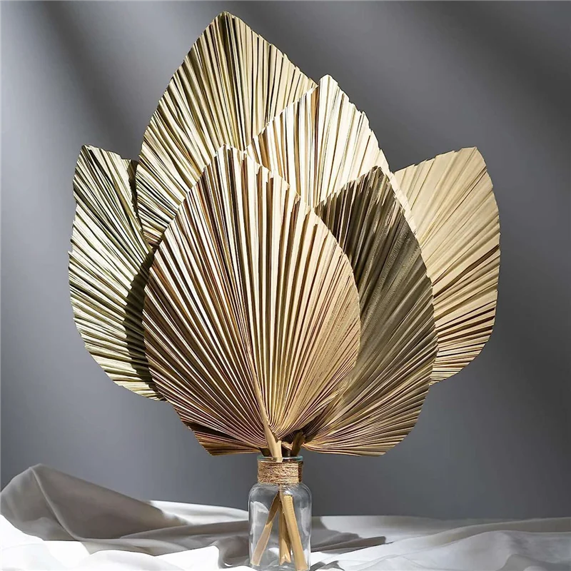 

Reliable 6Pcs Natural Tropical Dried Palm Leaves Decoration,Boho Trimmed Palm Leaves for Weddings Wall Bedr