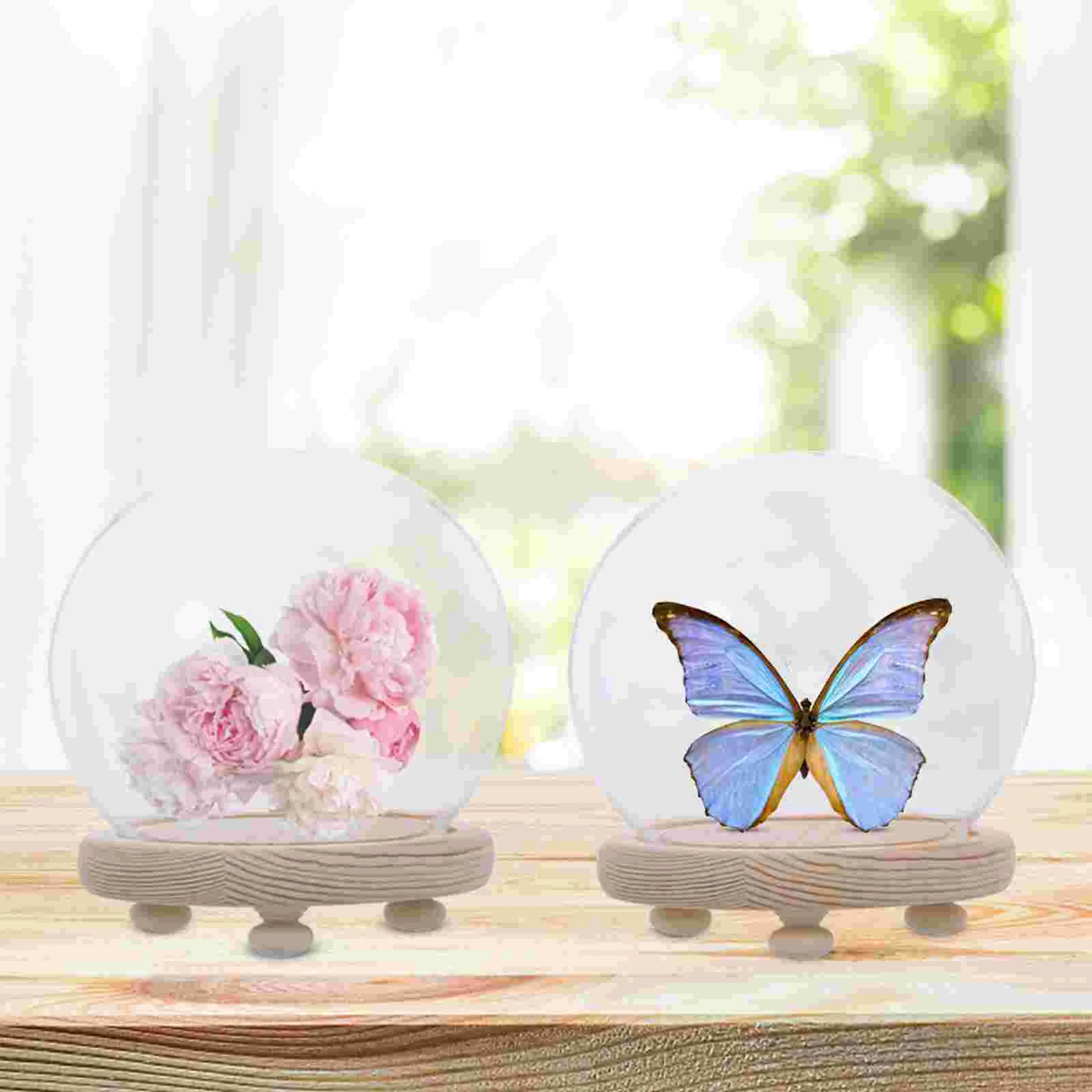 Food Containers Spherical Glass Cover Dome Dust Jar Preserved Flower Transparent Model Display