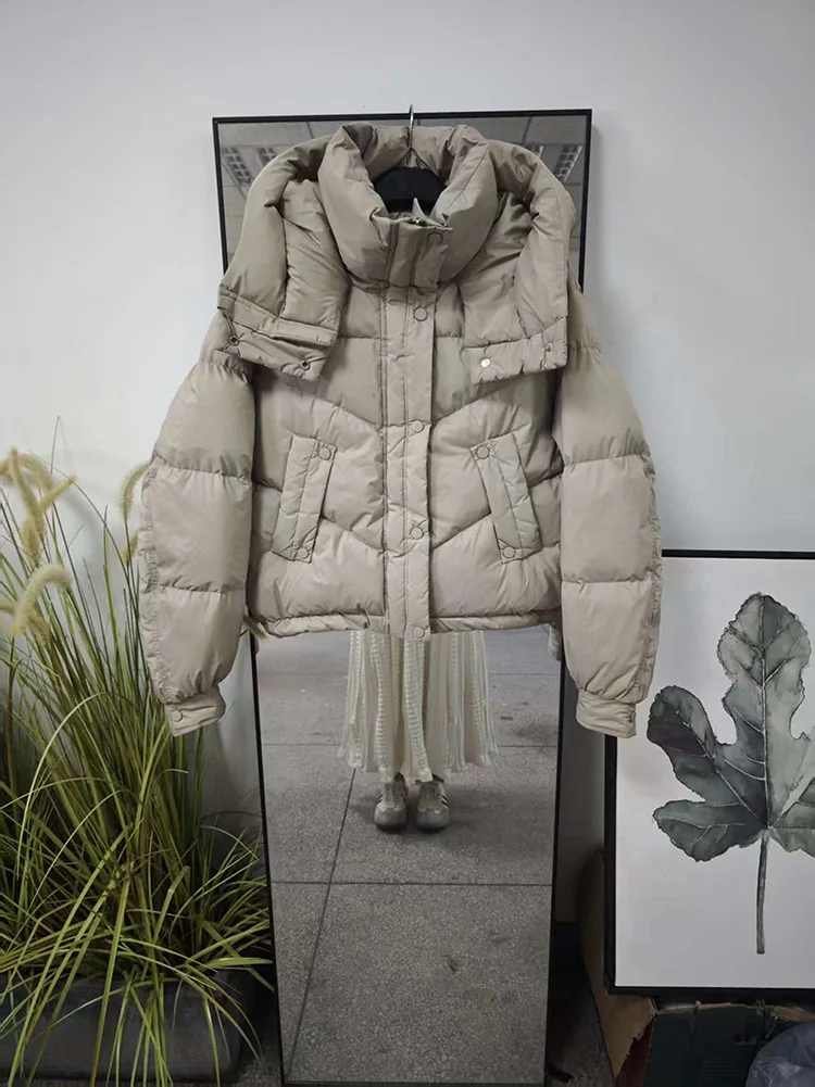 2025 hiver nouvelle mode doudoune femmes mode à capuche décontracté polyvalent couleur unie court blanc canard vers le bas manteau