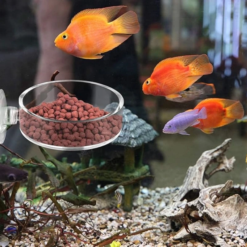 Mini Size Shrimp Feeding Dish Aquarium Fish Tank Reptiles Feeder Bowl with Suction Cup,Acrylic Material