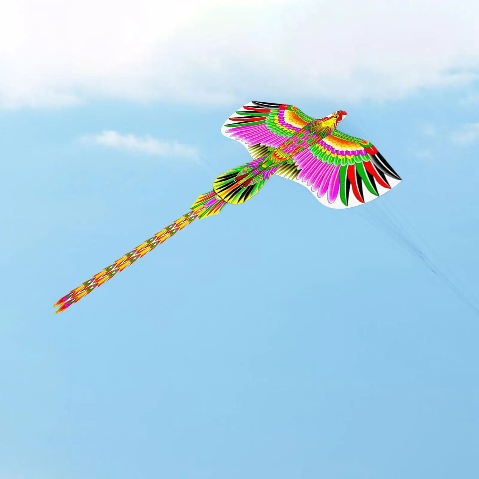 Huge Kite Large size bird shape kite Adults Birthday Gift Outdoor Game 170cm