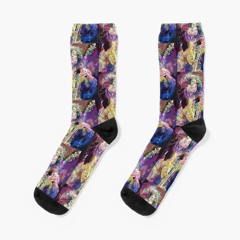 Jimmy Page Socks sheer Soccer floral man Socks Women Men's