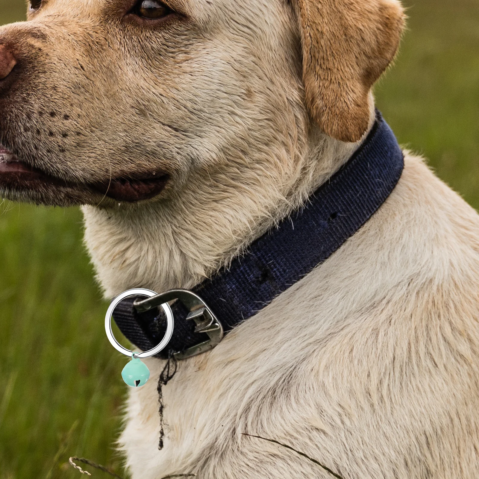 

60Pcs Colorful Bells Crafted Pet Collar Bells Hanging Ornaments for Dogs Cats DIY Keychain Decor Wedding Festival Gift