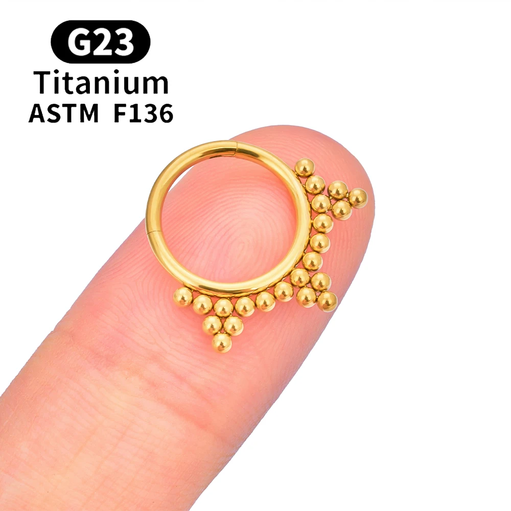 G23 Titan Runde Hoop D Form Nasenring Daith Herz Ohrring 16G CZ Scharniersegment Ohr Tragus Knorpel Helix Piercing Schmuck – Detail 15