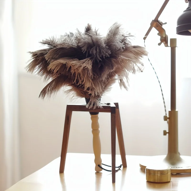 Beech Natural Ostrich Feather Duster Portable Dust Brush High-end Home Cleaning Feather Duster Car Dust Brush