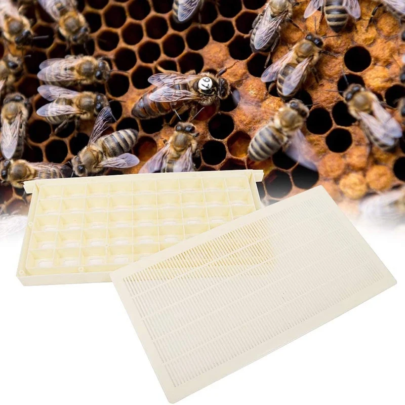 Bee Multifunctional King Storage Multi King Gateway Queen Storage Cage Queen Bee Cage 45 Grid King Storage Beekeeping Tools