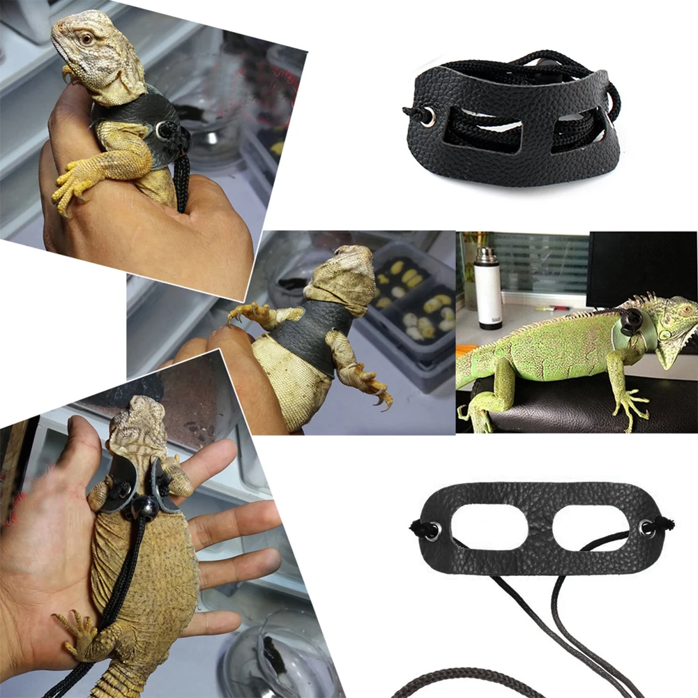 Lizards Iguana Reptiles Traction Rope Pet Outdoor Carrying Walking Harness Leather Traction Rope For Small Pet