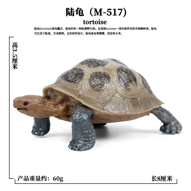 Figurines d'action d'animaux marins pour enfants, tortue à oreilles coulissantes, figurine d'amphibiens, modèle Auckland, roman, jouets en plastique, cadeau d'ornement