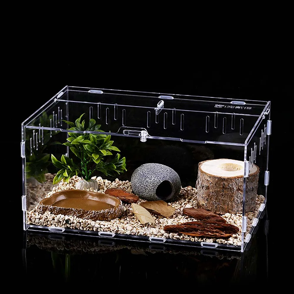

Transparent Hatcher Container Feeding Box Snakes Lizard Breeding Box Insect Supplies Reptile Incubator Hatching Terrariums