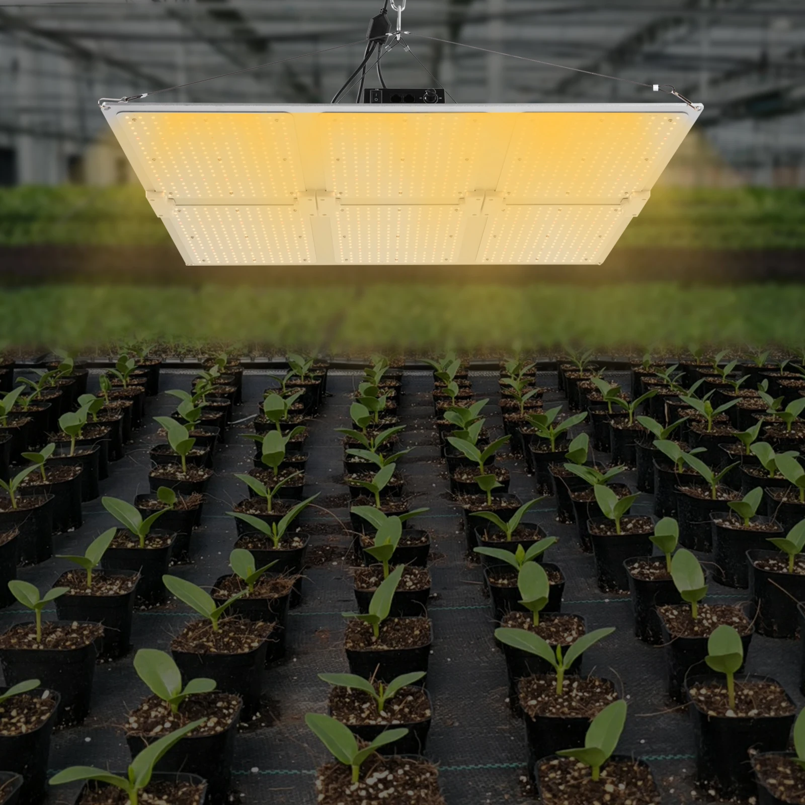 

660W LED Grow Light Dimmable Indoor Grow Lamp for Plants, Flower Bloom, Dimmable & Daisy Chain, Grow Tent