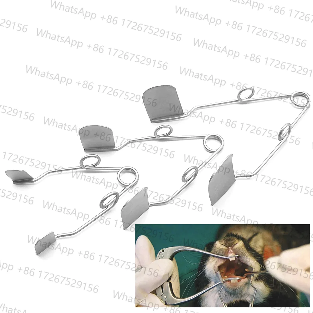 Applicable toDental Rodent Opener Animal Buccal Cheek Dilator Wire Mouth Gag Spring Chinchillas Rabbit Vets Oral Cavity Instrume