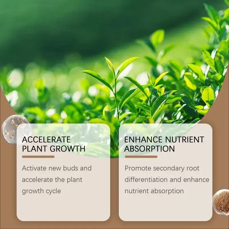 QX2E Soil Professional Root Meal Nutrition Dirt Health Nutrition for Indoor Outdoor Plant for Raised Garden Beds