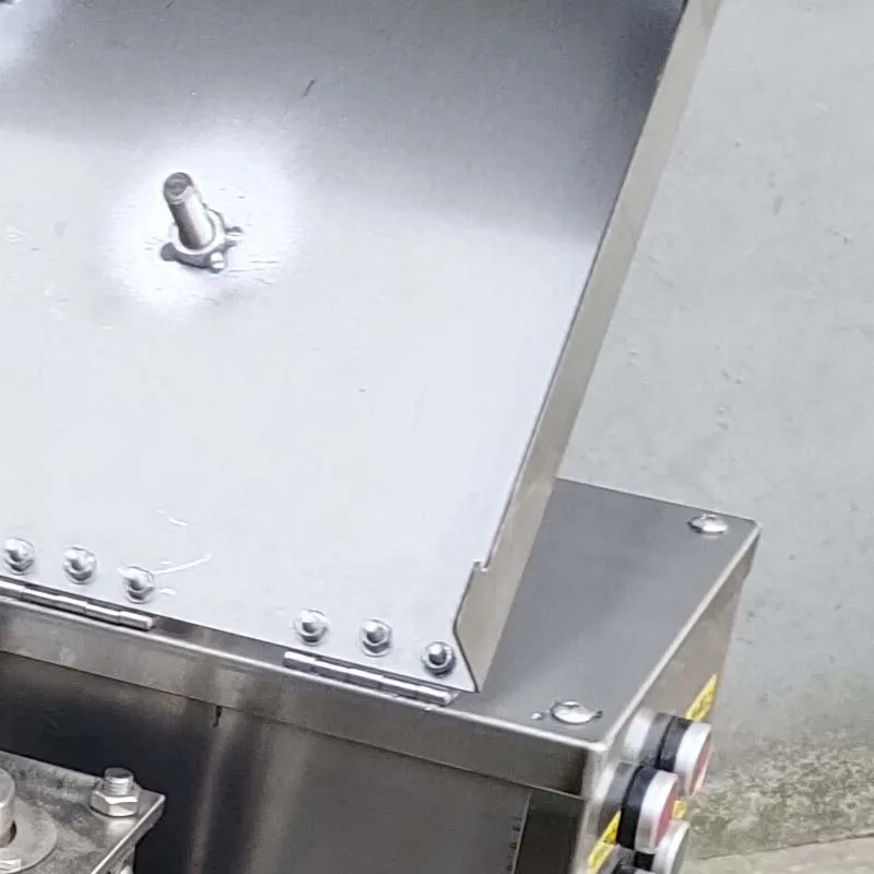Automatic Dicing Machine Commercial Meat Sliver Machine Multi Functional Fresh Meat Dicing Machine