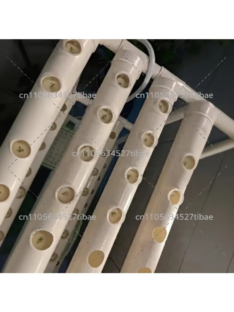 Vertical Farming Container Farm, Hydroponic Grow System for Lettuce & Microgreens, Greenhouse Shipping Container
