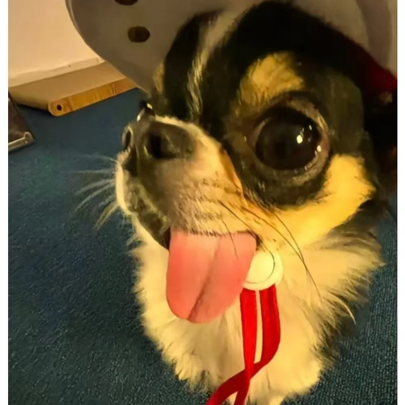 

Shipping Fee Supplement / Freight Difference Payment