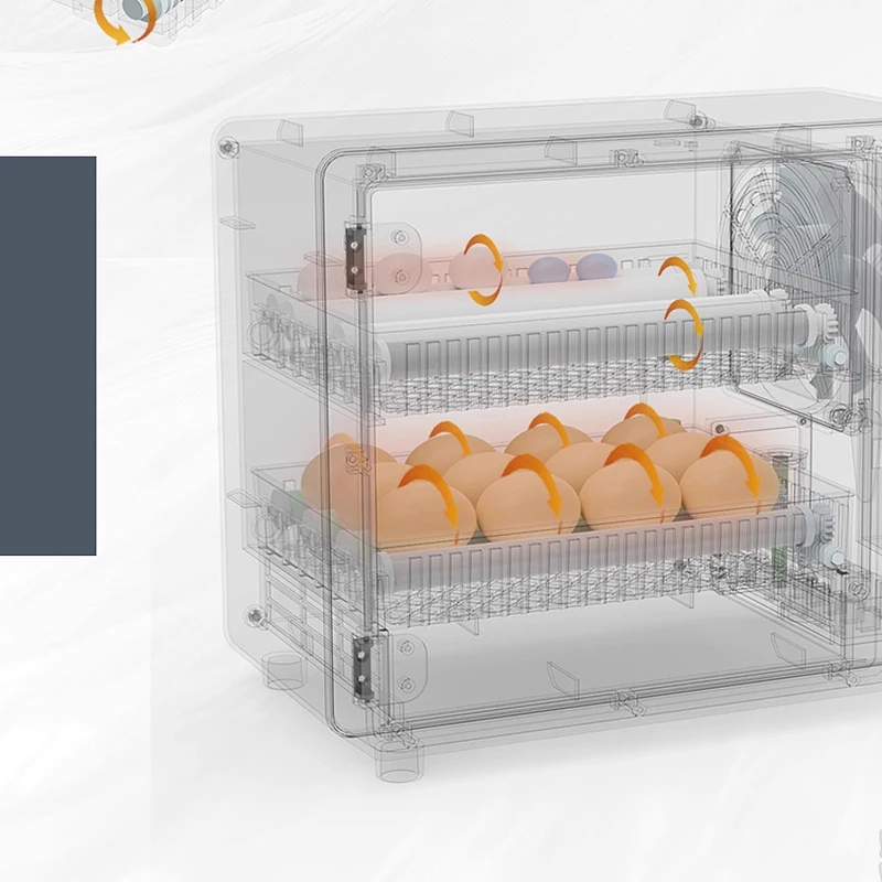 حاضنة منزلية صغيرة، حاضنة بيض أوتوماتيكية بالكامل، حاضنة البط والأوز والحمام، حاضنة ذكية #4