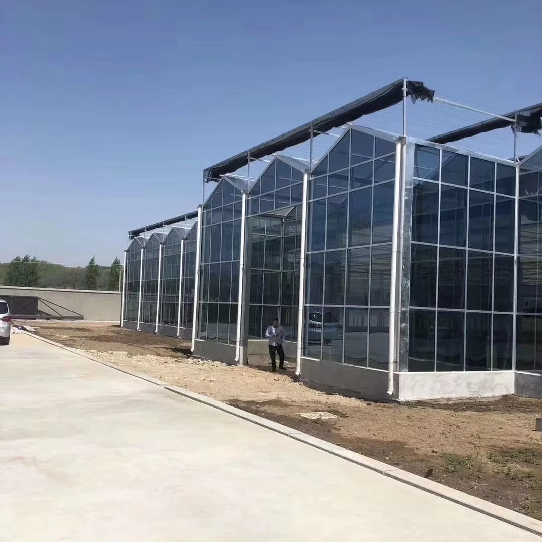 

Customized greenhouseMulti-Span Agricultural Glass Greenhouse Commercial Greenhouse With Intelligent Climate Control