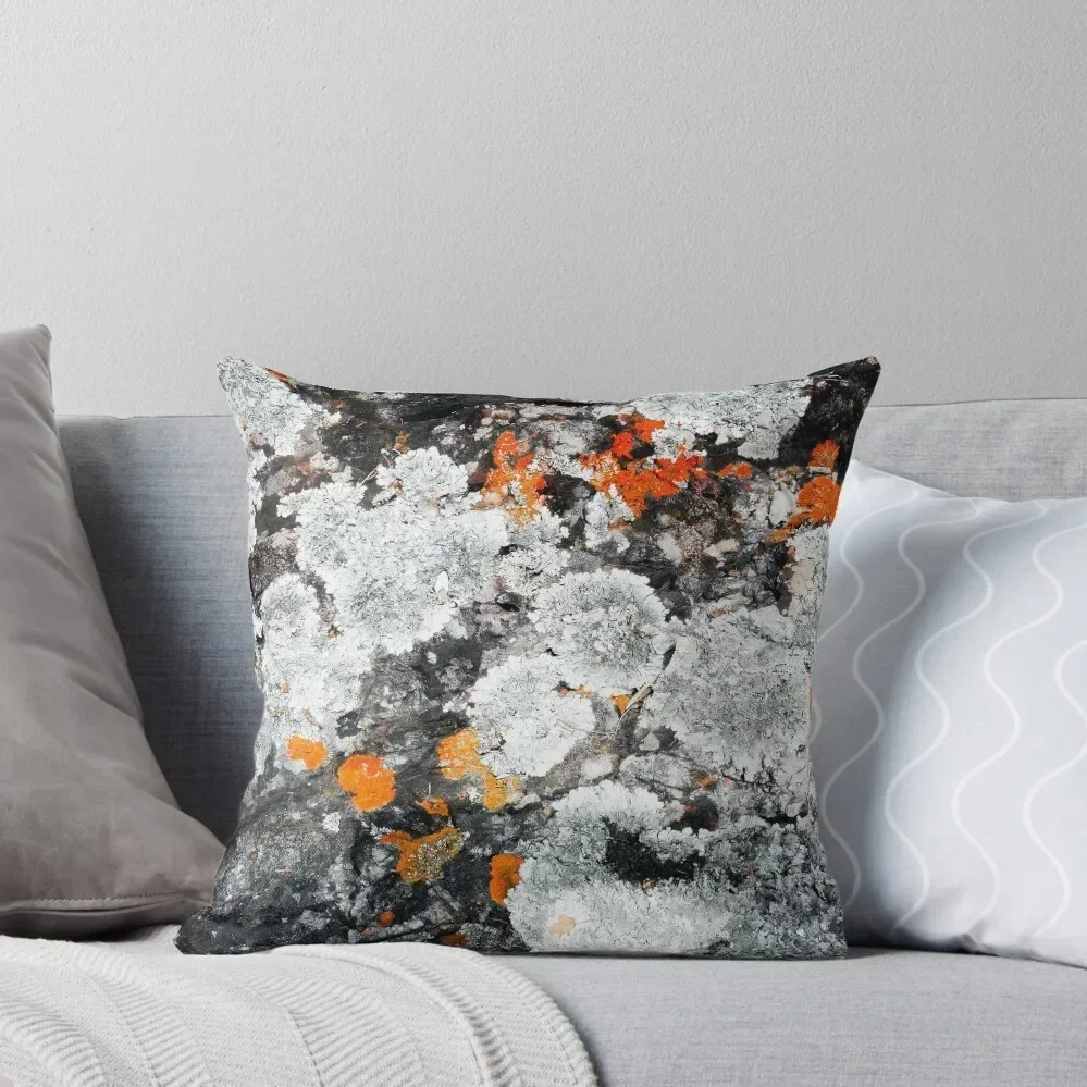 Orange and Grey Lichen #1 Throw Pillow Pillow Decor Christmas Pillows pillow