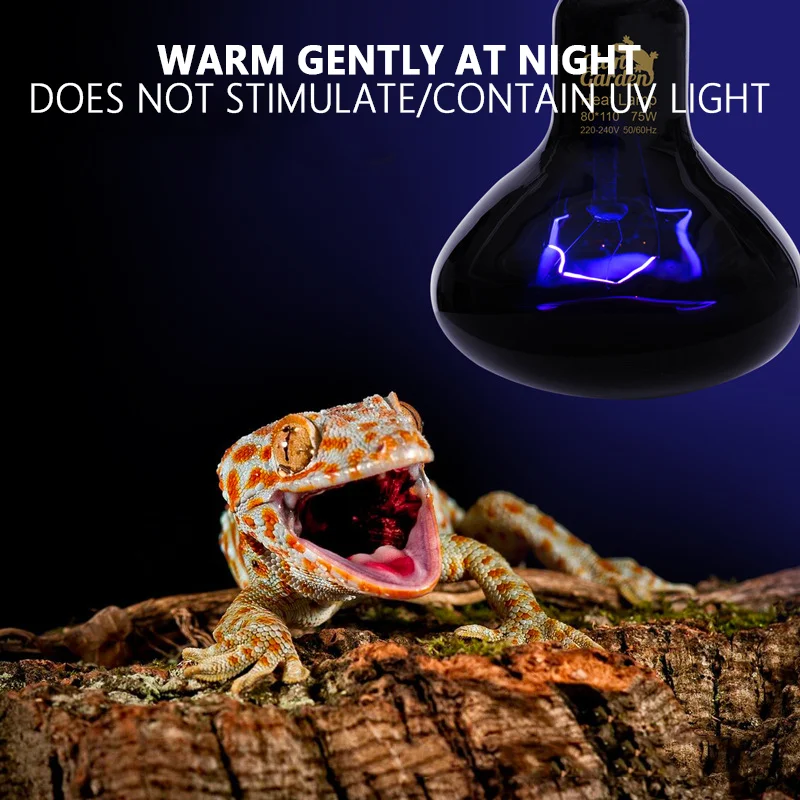 25W 50W 75W 100W Pet Heating Lamp Reptiles Heat Night Light Reptile Accessories for Snake Spider Lizard Horned Frog Feeding Box