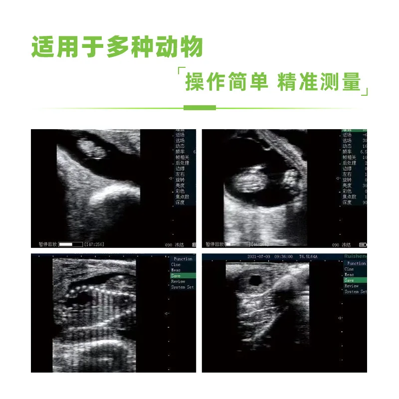 Diagnostic instrument Backfat pregnancy detection machine Portable B Ultrasound machine breeding outlet