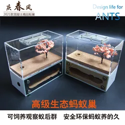 Professional Ecological Imitation Pet Ant Concrete Ant Nest Acrylic Villa Advanced Ant Queen Colony Pastoral Workshop