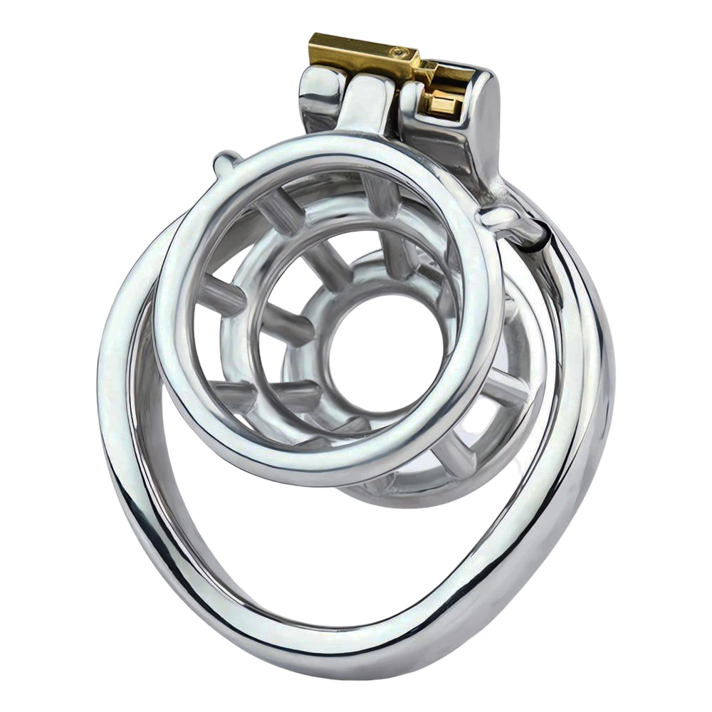 FRRK Sissi Inverted Chastity Lock Penis Cage Stainless Steel Chastity Device Male Denial Erection Abstinence BDSM Erotic Sex Toy - view 6