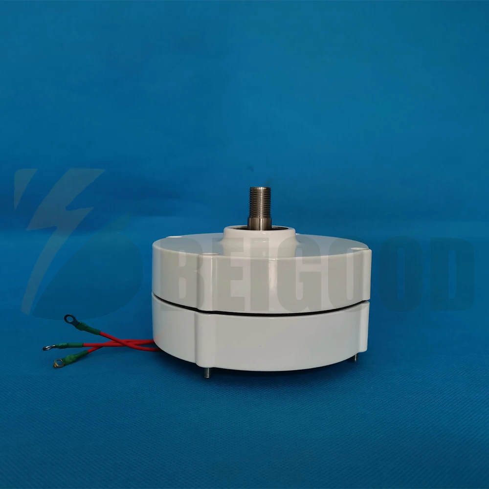 New Arrival Low Speed 1000w 800w 600w 12V 24V 48V Gearless Permanent Magnet Generator Use For Wind Turbine Water Turbine DIY