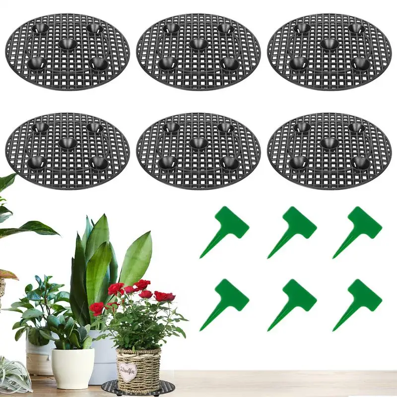 

Подставка для растений, 6 шт., горшок для выравнивания растений, лифт, садовые принадлежности, подставки для гидропоники, дома, сада, настольный дисплей для гостиной