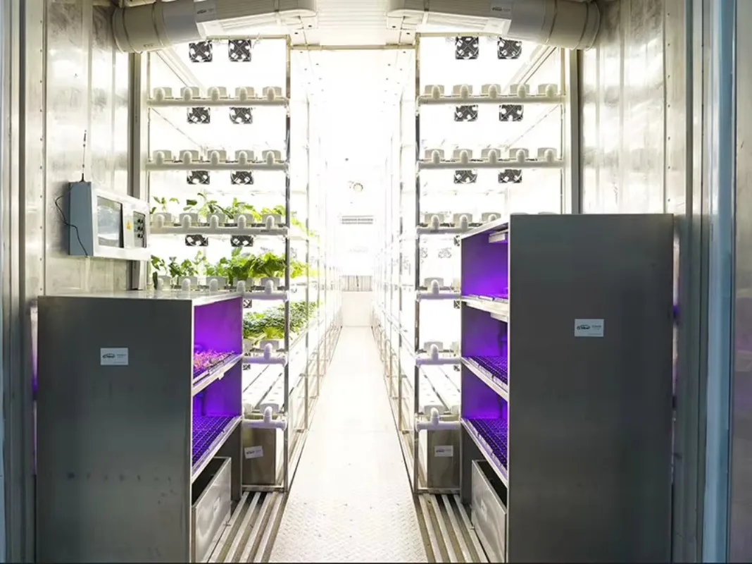 حاوية الزراعة الذكية حاوية الزراعة المائية حاوية المزرعة حاويات شحن الزراعة العمودية