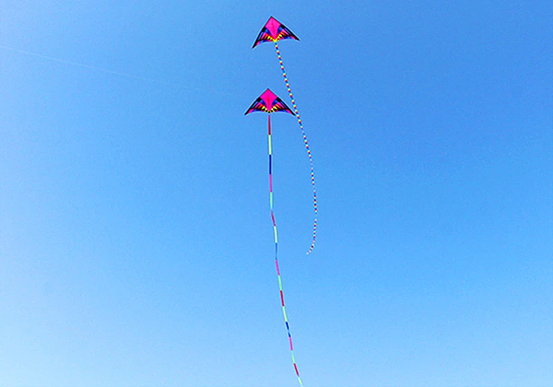 จัดส่งฟรีขนาดใหญ่KiteหางFlying Kite Windsocks Kites Rainbow Tail Kiteสําหรับเด็กTwist Flyลมถุงเท้าธงProfessional Kite