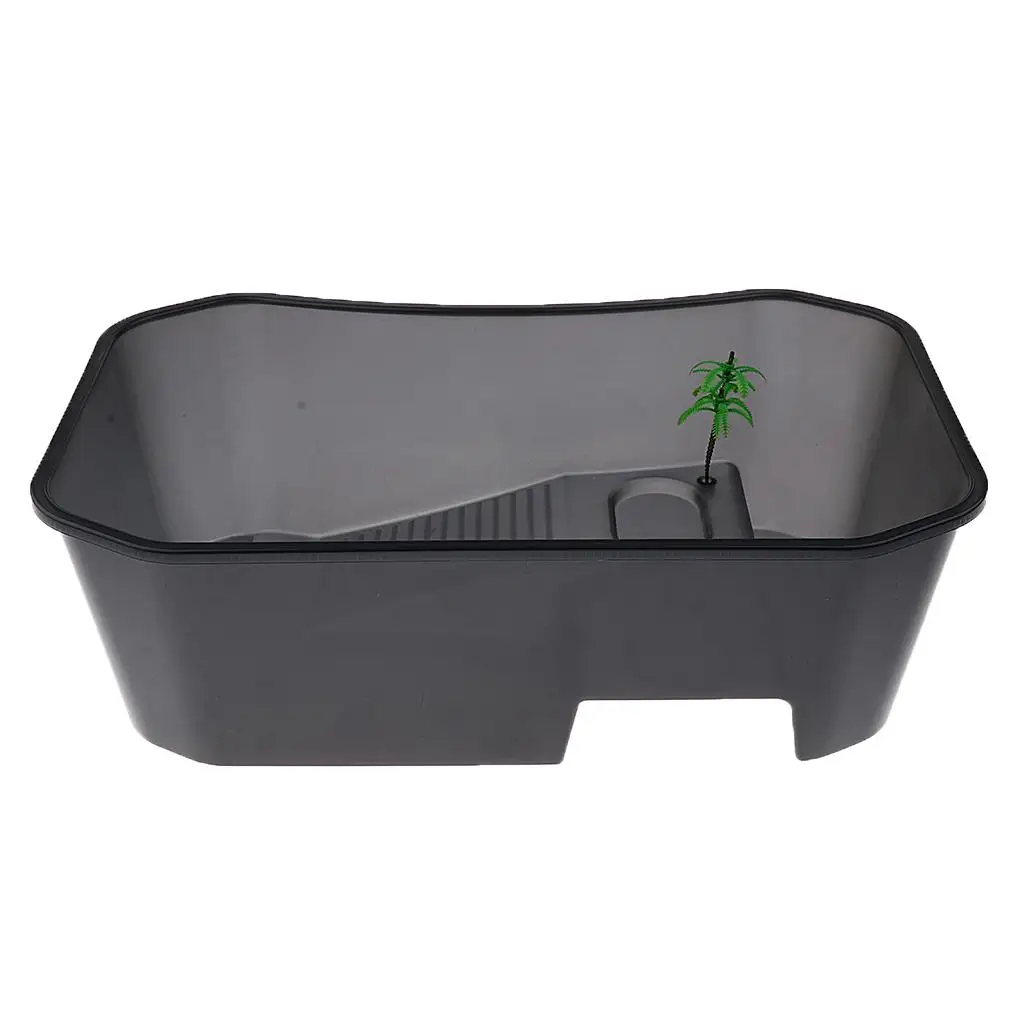 Translucent Plastic Reptile, , Turtle, Turtle, Tank, Nurseries, Terrariums, Box with Coconut Tree Ornament