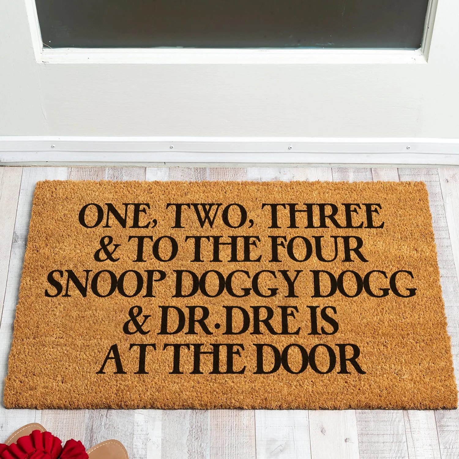 Funny Coir Doormat One Two Three and to the Four Dogg is at the Door Welcome Front Porch Decor Doormat For The Entrance Way Mat