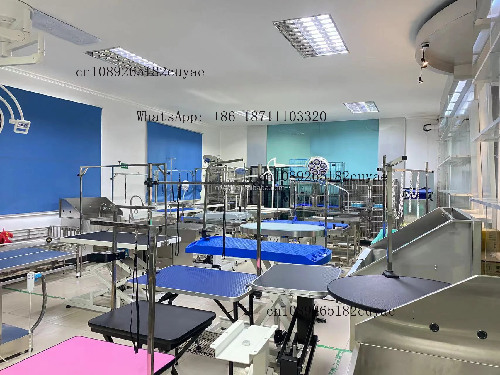 อุปกรณ์สัตวแพทย์ กล้องตรวจหูสั - Veterinary Otoscope บทวิจารณ์และราคา