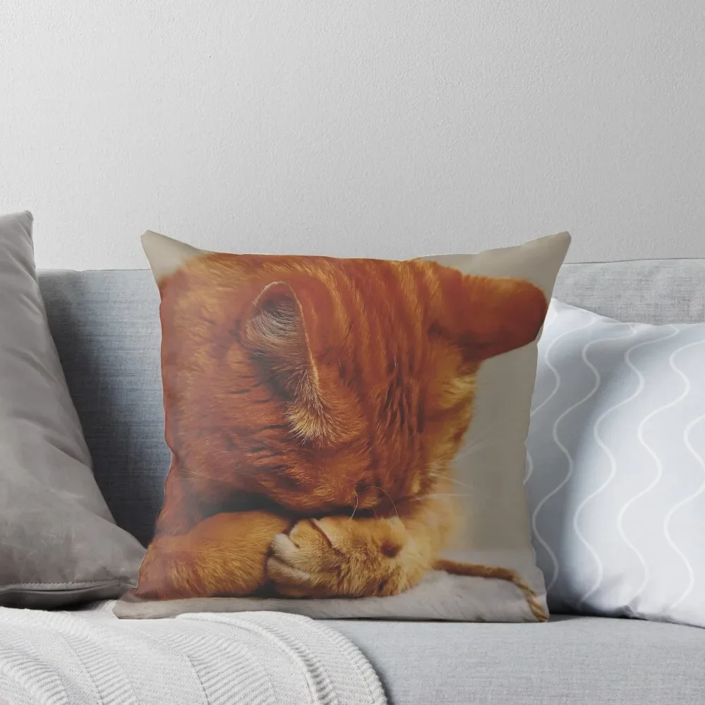 Sleepy Marmalade Throw Pillow pillowcases for sofa cushions christmas pillow case pillow